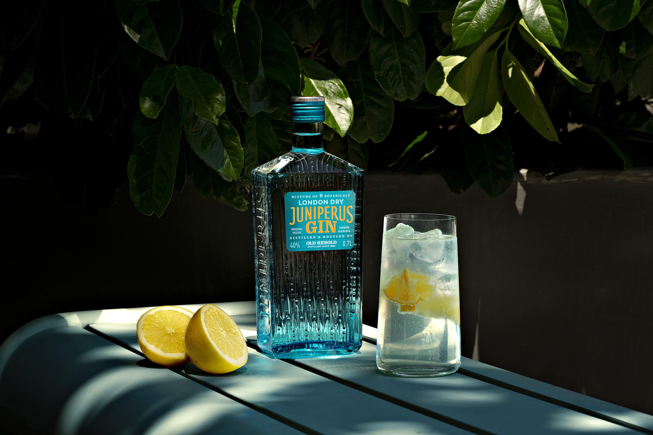 gin-terasa-scaled